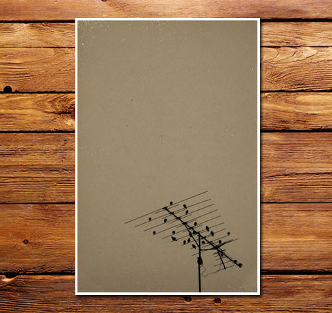 Antenna Birds Poster